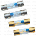 Glass Tube Fuse Thermal Fuse Fh-601